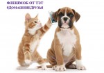 Флешмоб #ДомашниеДрузья от ТЭТ!